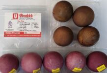 Herbal Salted Egg Innovation